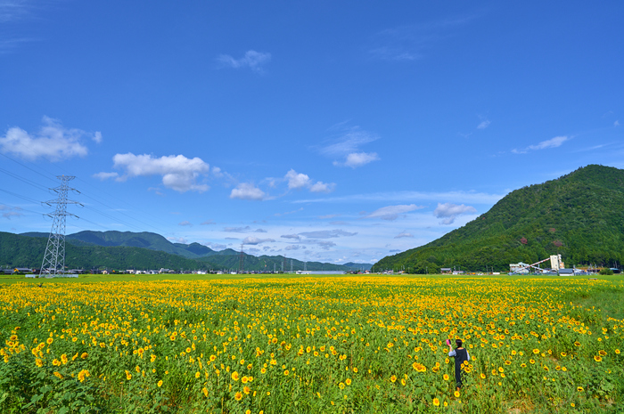 シグマ SIGMA 20mm F1.4 DG DN | Art ／ 福井 若狭 小浜宮川